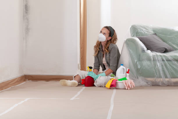 Reliable Basement Mold Remediation contractor in Malone, FL by 24 Hour Mold Removal